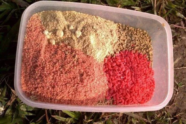 野钓鲤鱼打窝技巧,可以用发酵五谷杂粮打窝