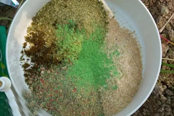 野钓鲤鱼打窝技巧,可以用发酵五谷杂粮打窝