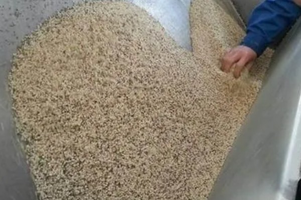 金针菇的种植技术，通常在每年的9月份开始栽培