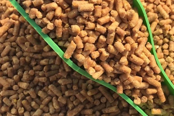 羊饲料的配制，原料包括玉米粉、草粉等