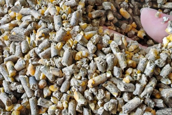 羊饲料的配制，原料包括玉米粉、草粉等