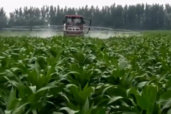 玉米除草剂会对土壤造成影响吗，通常不会造成影响