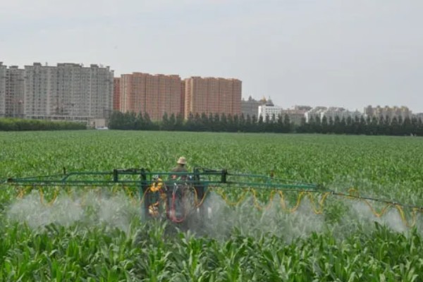 玉米除草剂会对土壤造成影响吗，通常不会造成影响