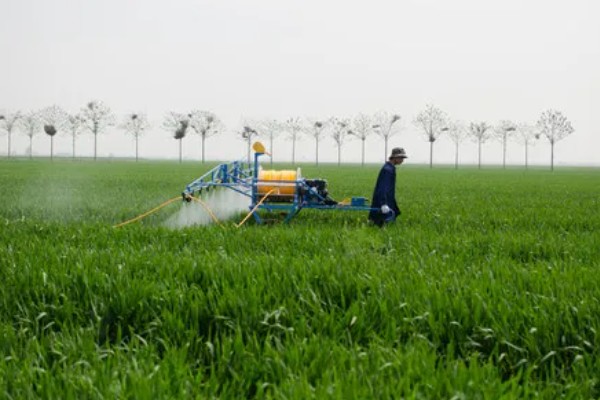 玉米除草剂会对土壤造成影响吗，通常不会造成影响