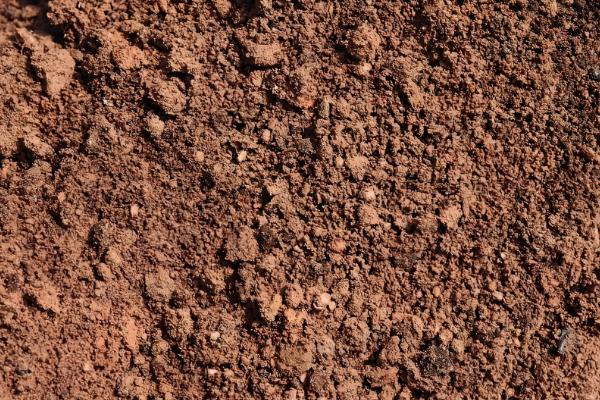 哪种土壤适合种人参果,疏松的土壤有利于人参果扎根生长