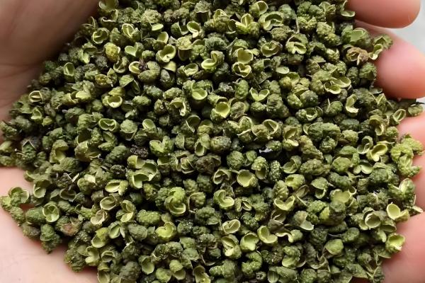 花椒和麻椒有什么区别,颜色、口味等方面都不同