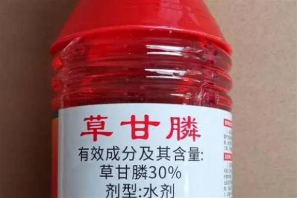 果园适合用什么除草剂，草甘膦、草铵膦等药物效果好