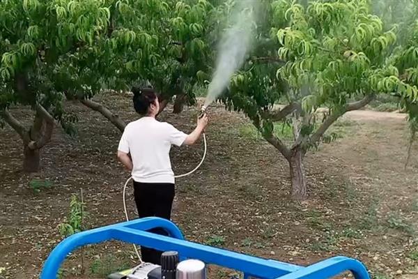 果园适合用什么除草剂，草甘膦、草铵膦等药物效果好