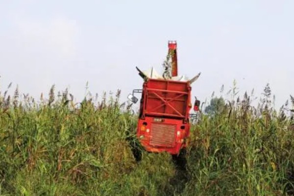 怎么正确购买植保机器，产品质量一定要合格