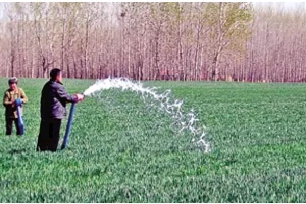 小麦需要一喷三防的原因，能起到增强抗寒能力、防治病虫害等效果