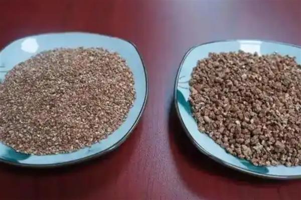 蠏爪兰花如何栽培,以沙质土壤种植为主