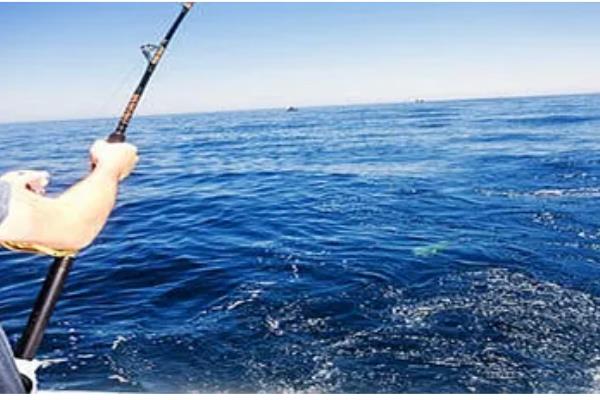 深水区可以钓鱼吗,可以在深水区进行