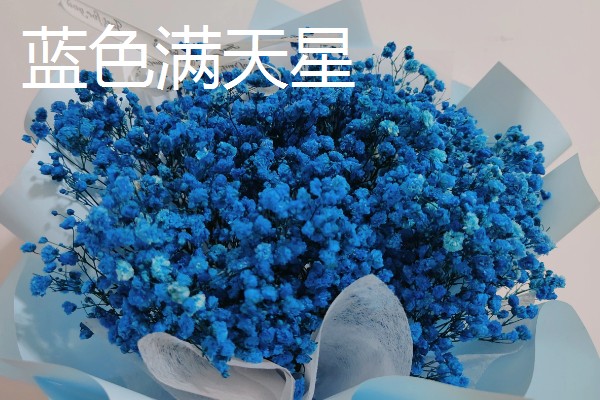 满天星的花语,不同颜色的花语不同
