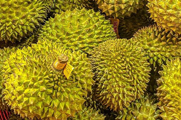 榴莲的简介，具有特殊的浓烈气味