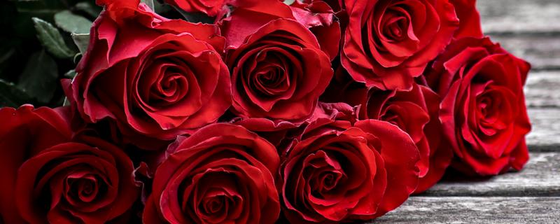 玫瑰有什么花语，不同颜色代表的含义有区别