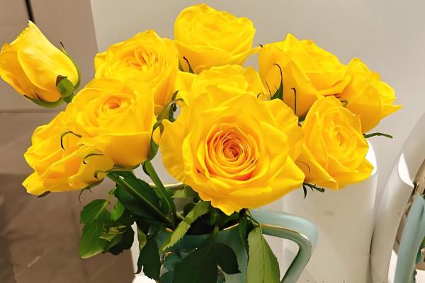 玫瑰有什么花语，不同颜色代表的含义有区别