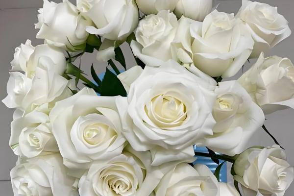 玫瑰有什么花语，不同颜色代表的含义有区别