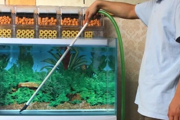 底滤鱼缸的正确换水方法，底部有水孔可通过排水阀控制