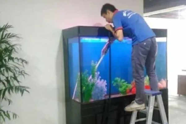 底滤鱼缸的正确换水方法，底部有水孔可通过排水阀控制