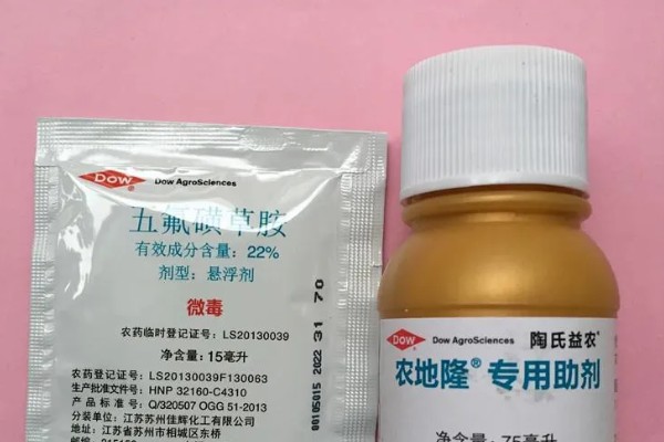 五氟磺草胺可以除什么草，可以防治稗草、鸭舌草等