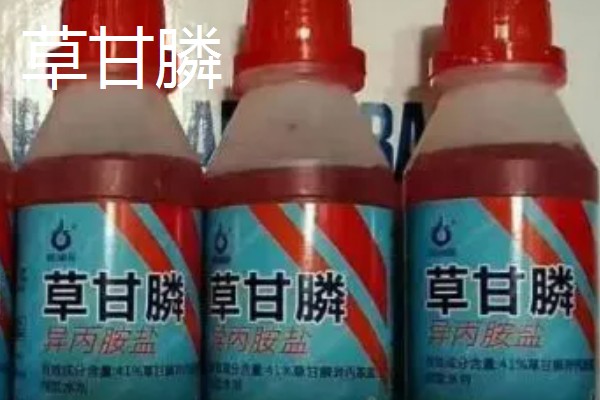 除草剂的兑水量，不同药物的稀释浓度有区别