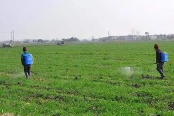 除草剂的兑水量，不同药物的稀释浓度有区别