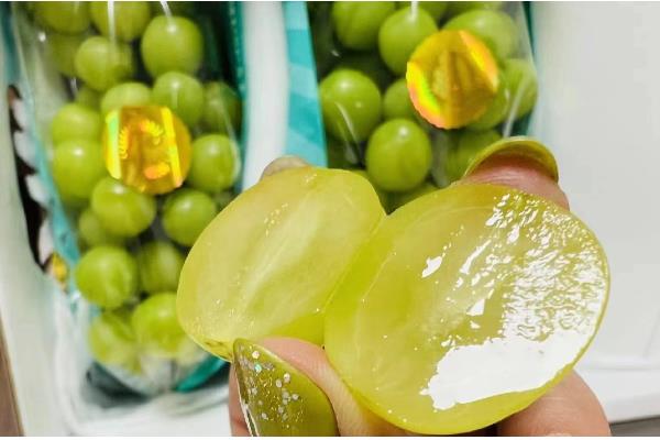 阳光玫瑰葡萄有籽吗，是有籽品种