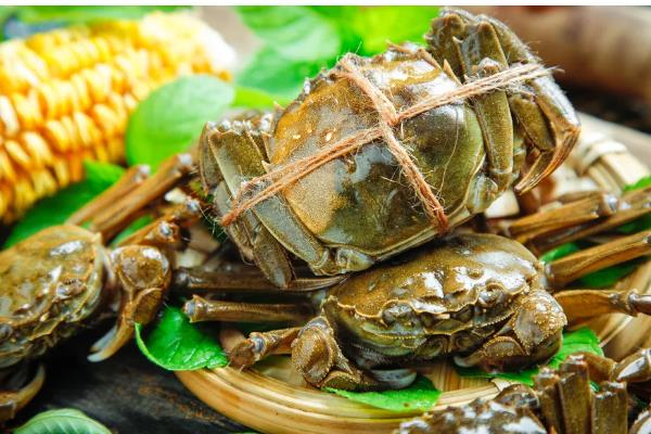 大闸蟹何时上市，一般从9月份开始供应