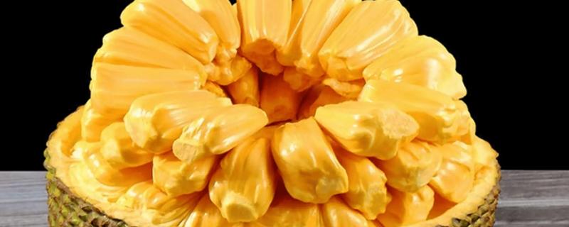 怎么吃菠萝蜜，直接生吃即可