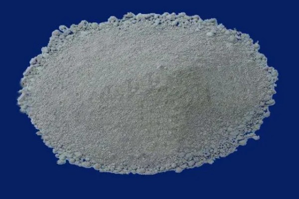 茎和叶是由什么发育而来,由种子中的胚芽发育而来的