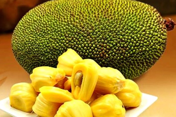 怎么吃菠萝蜜，直接生吃即可