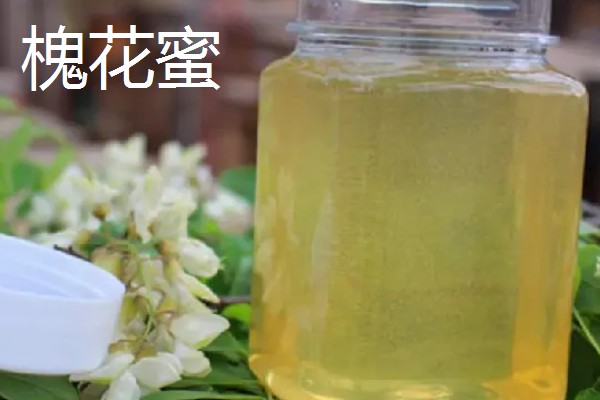 四大名蜜的特点,槐花蜜是上等蜂蜜