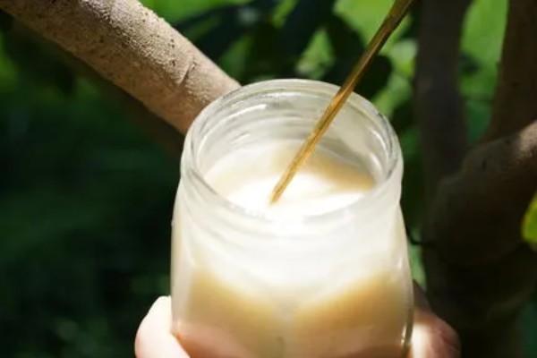 四大名蜜的特点,槐花蜜是上等蜂蜜