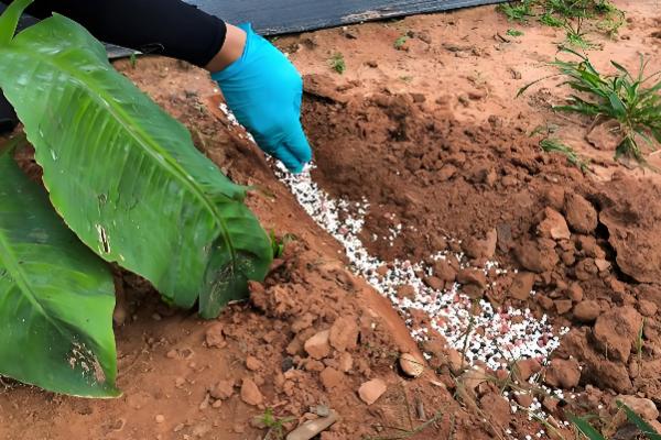 复合肥的使用方法,作为基肥亩施30-40公斤