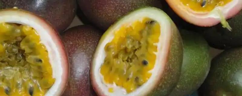 百香果树是不是蜜源植物，可以为蜜蜂提供大量的花蜜和花粉