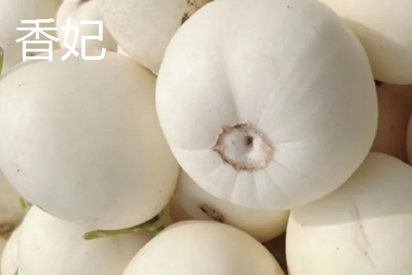 哪些香瓜品质好，推荐香妃、金粉等品种