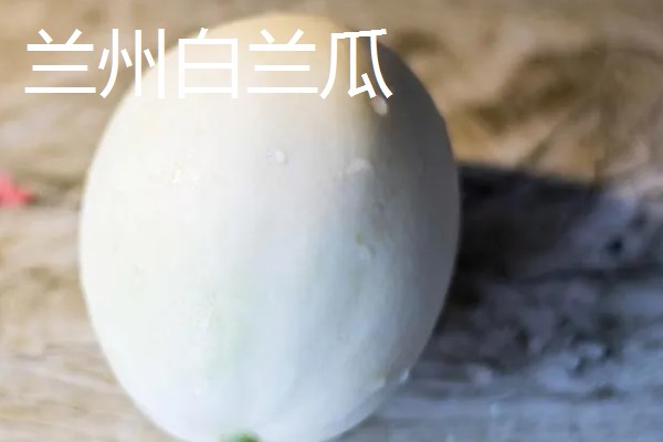 哪些香瓜品质好，推荐香妃、金粉等品种