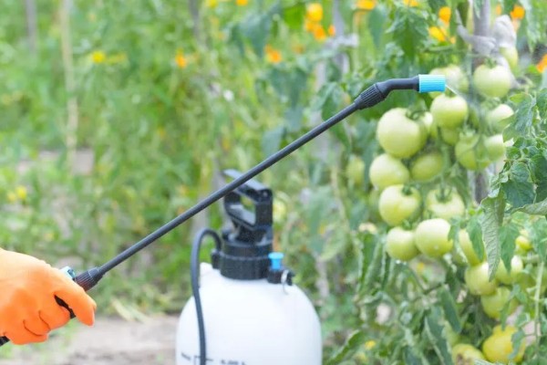 蔬菜杀虫适合用什么药，根据防治对象选择对应药物