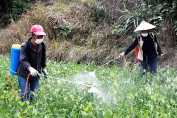 蔬菜杀虫适合用什么药，根据防治对象选择对应药物