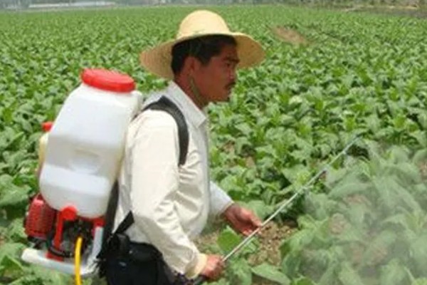 蔬菜杀虫适合用什么药，根据防治对象选择对应药物