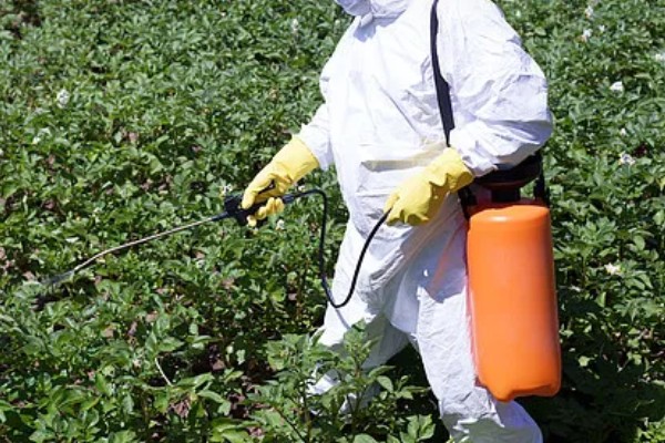 蔬菜杀虫适合用什么药，根据防治对象选择对应药物