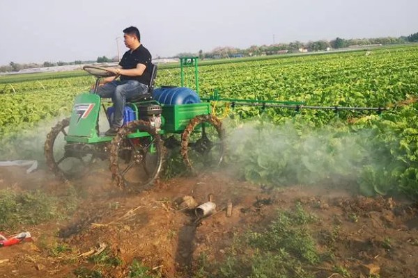 蔬菜杀虫适合用什么药，根据防治对象选择对应药物