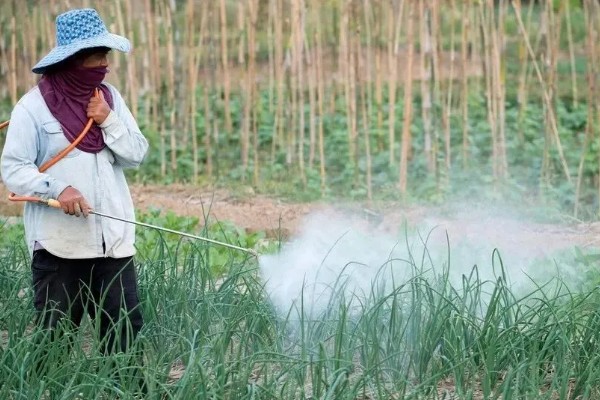 蔬菜杀虫适合用什么药，根据防治对象选择对应药物