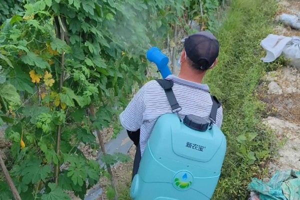 蔬菜杀虫适合用什么药，根据防治对象选择对应药物