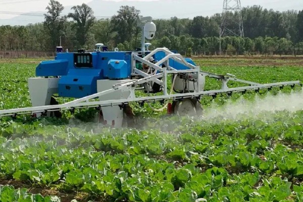 蔬菜杀虫适合用什么药，根据防治对象选择对应药物