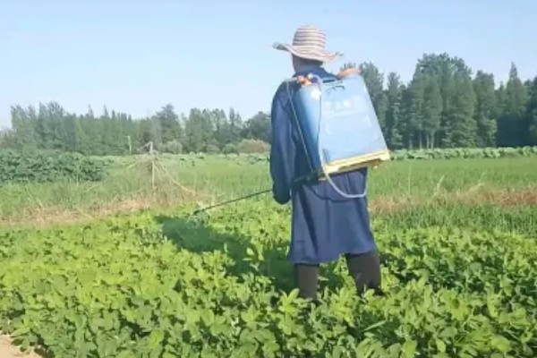 蔬菜杀虫适合用什么药，根据防治对象选择对应药物