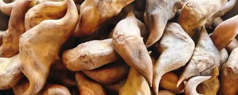 菱角的剥壳方法，先煮后剥更简单