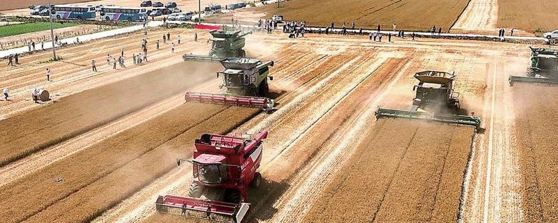 “三夏”农机作业技术要点，施行维护性耕作