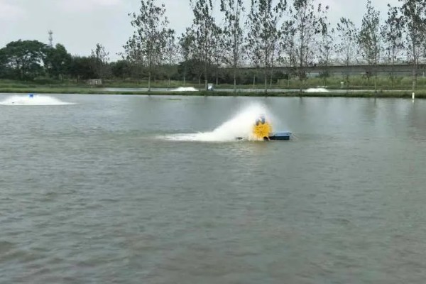 养殖黄颡鱼的方法，每亩池塘投放2500-5000尾鱼苗