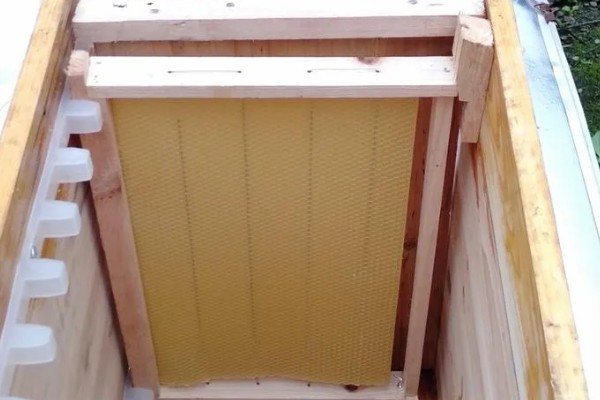 中蜂活框土养不用巢础的方式,将嵌有小块巢脾的巢框放入蜂群之中